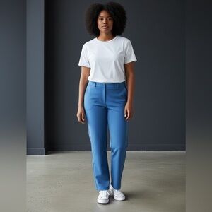 NWOT Lily Morgan, Chic Plus-Size  Blue Trousers, 1X